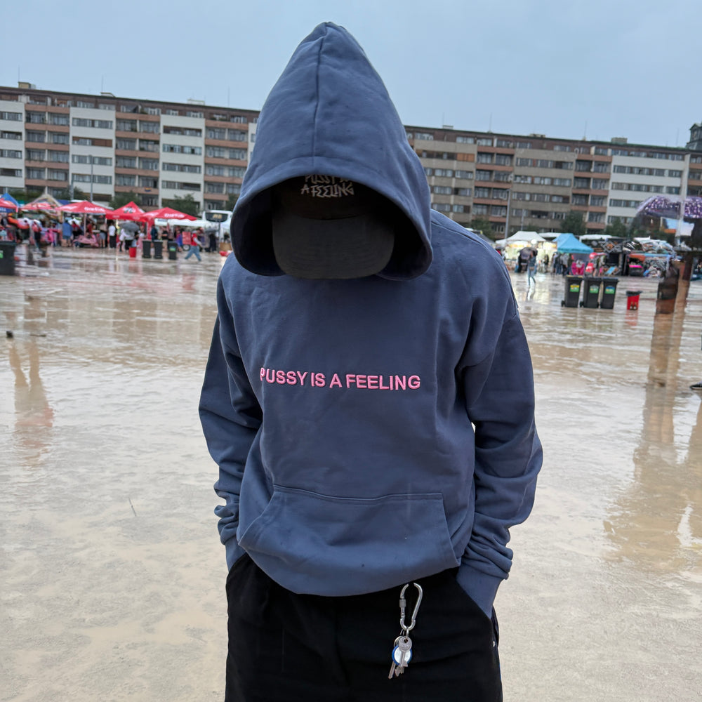 PUSSY IS A FEELING Heavyweight Hoodie in Vintage Blue with Pink
