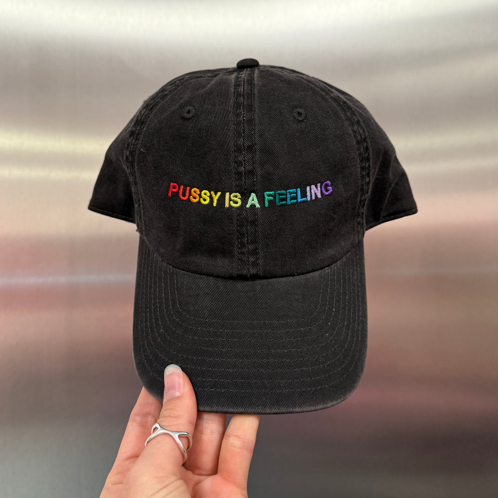 PRIDE kolekcia - PUSSY IS A FEELING sivá šiltovka