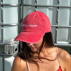 PUSSY IS A FEELING WASHED RED DAD CAP