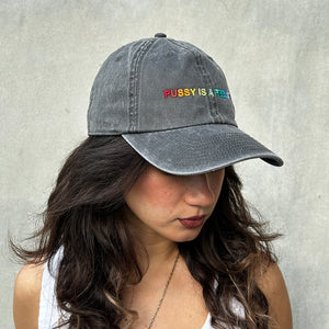 PRIDE kolekcia - PUSSY IS A FEELING sivá šiltovka