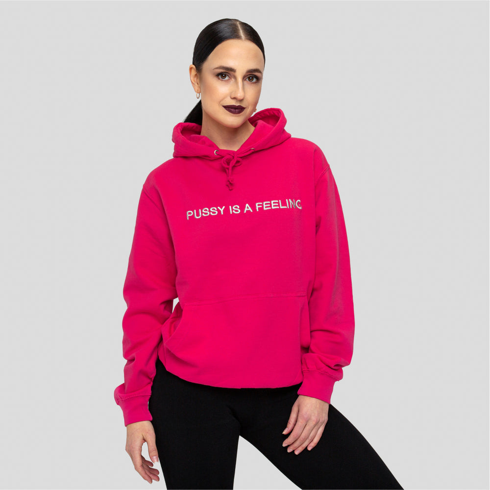 PUSSY IS A FEELING HOT PINK HOODIE – Identities Brand