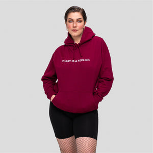 Burgundy hoodie with white PUSSY IS A FEELING embroidery designed by Identities Brand.