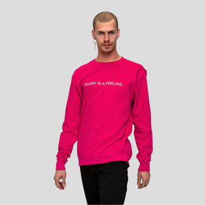 Hot pink crewneck sweater with silver PUSSY IS A FEELING embroidery designed by Identities Brand.