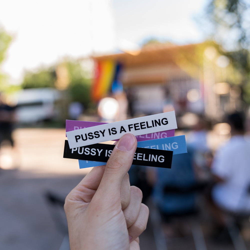 
            
                Load image into Gallery viewer, PUSSY IS A FEELING / CUNT WAIT MIXED COLOR STICKERS - 5 PACK
            
        