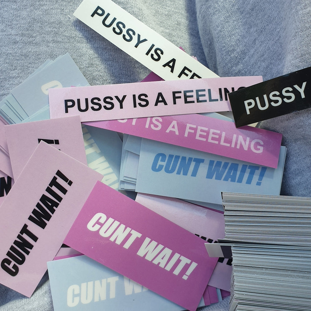 PUSSY IS A FEELING / CUNT WAIT MIXED COLOR STICKERS - 5 PACK